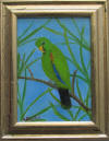 green parrot