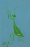 bug
