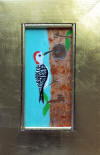 woodpecker on tree